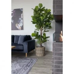 Homeshop Violinfigen Kunstig Plante 190 Cm - 9501050 -homeshop butik unnamed file 1124