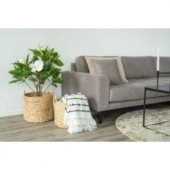 Homeshop Runde Kurve I Vandhyacinth, Sæt Af 2 - 4401360 -homeshop butik unnamed file 1310