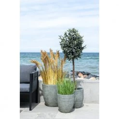 Homeshop Grass Kunstig Plante - 9501070 -homeshop butik unnamed file 1334