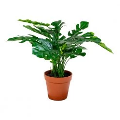 Homeshop Monstera Kunstig Plante 45 Cm - 9501040